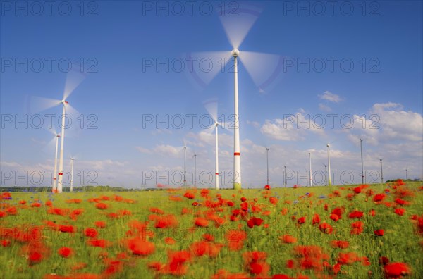 Wind farm, field with flower strips, insect-friendly border of fields with mixed flowers, poppies,