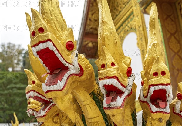 Naga at the steps of Wat Ho Pha Bang temple, Royal Palace, Luang Prabang, Laos, Asia
