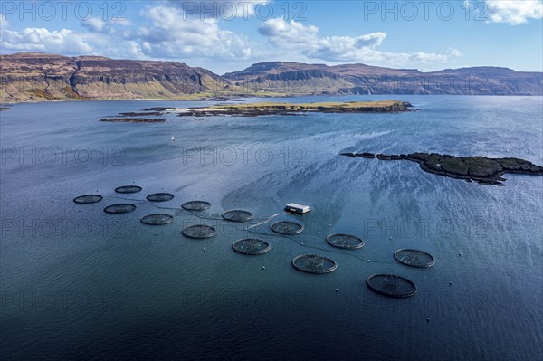 Floating cages of a salmon farm, sea between Isle of Ulva and Isle of Mull, aerial view, Scotland,
