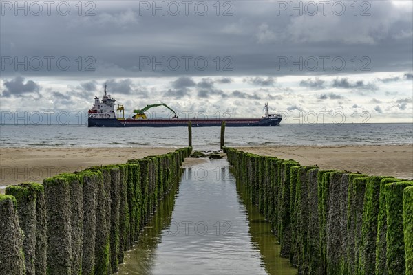 North Sea coast in Zeeland, called Zeeland Riviera, breakwater, made of wooden piles, near