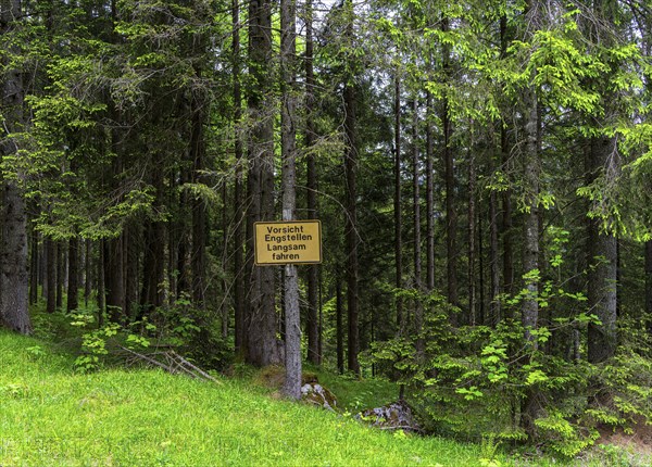 Yellow sign in the forest, ski area at the Götschen Alm, Bavaria, Germany, Europe