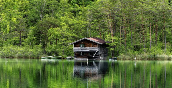 Landscape at Lake Thumsee, Bad Reichenhall, Bavaria, Germany, Europe
