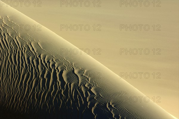 Egypt, Great Sand Sea, Middle East, Africa