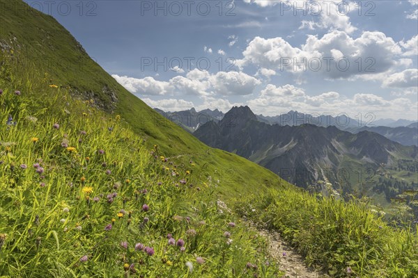 Laufbacher Eck-Weg, a panoramic high-altitude trail from the Nebelhorn into the Oytal, behind the