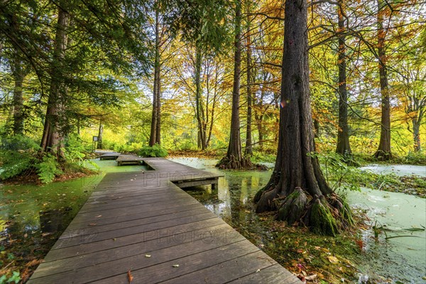 The Botanical Garden of the Ruhr University Bochum, in the district of Bochum-Querenburg, North