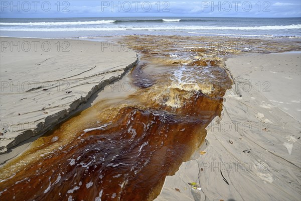Tannic water from the Congo Basin flows into the sea, Petit Loango, Loango National Park, Parc