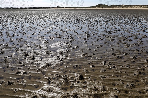 Mudflats on the island of Amrum, Norddorf, 16.06.2020