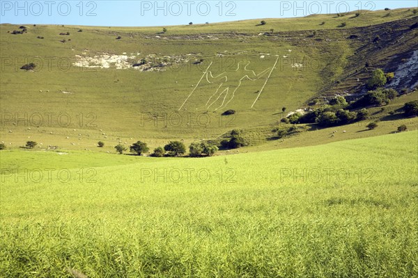 Prehistoric image in chalk hillside, The Long Man of Wilmington, East Sussex, England, United