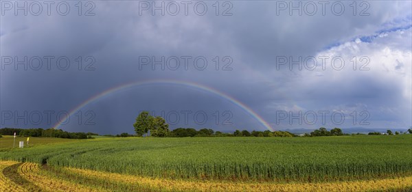 Storm on the Triebenberg near Dresden, Dresden, Saxony, Germany, Europe