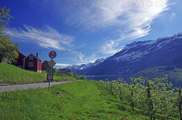 Country road leads along a church and green meadows, surrounded by mountains and a fjord, spring,