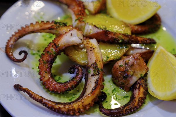 Octopus, tapas in a bar, food, Barcelona, Catalonia, Spain, Europe