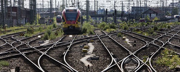 Track apron with rails, infrastructure and a local train at the main railway station, Frankfurt am