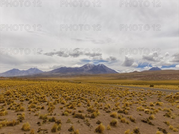 Atacama Desert with yellow tufts of grass, volcanoes and mountains, Chile, South America