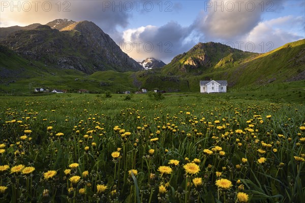 The houses of Haukland Beach, with Mount Himmeltindan on the left. In the foreground a meadow with