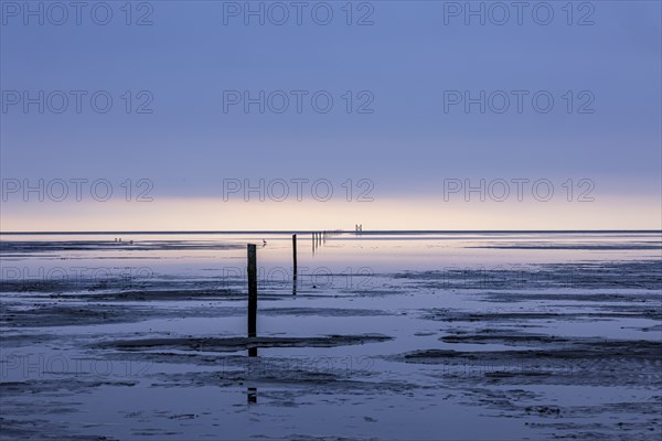 Evening mood at the North Sea, Westerhever, Schleswig-Holstein, Germany, Europe