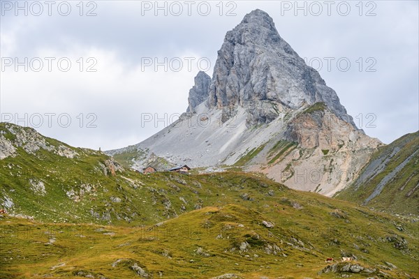 Summit of the GroÃŸer Kinigat, Carnic Main Ridge, Carnic High Trail, Carnic Alps, Carinthia,