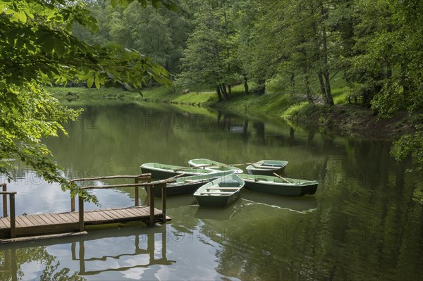Boats anchored on the Hilschweiher, Edenkobener Tal, Palatinate Forest, Palatinate,