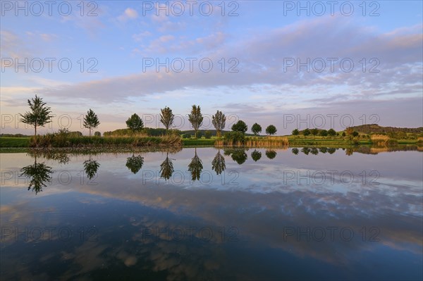 Lake in spring with row of trees and reflection at sunset, Drei Gleichen, Ilm-Kreis, Thuringia,