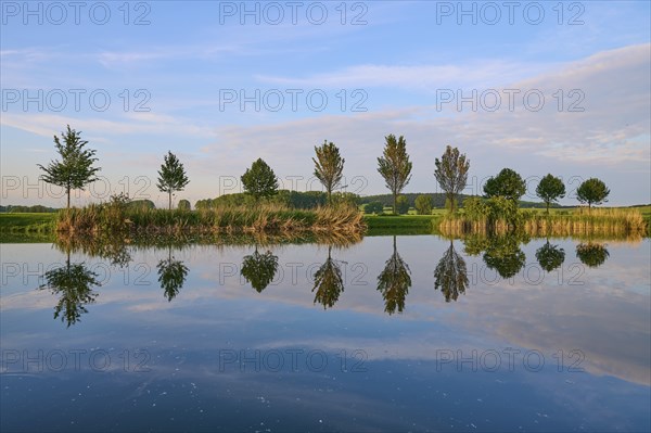 Lake in spring with row of trees and reflection, Drei Gleichen, Ilm-Kreis, Thuringia, Germany,