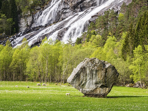 Single large rock Oddmundsteinen on farmland, waterfall in the back, greasing sheep, spring, south