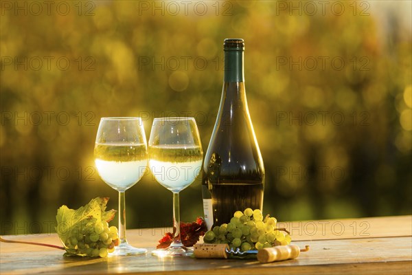 The wine-growing region of Saxony is one of the smallest and the most easterly wine-growing region