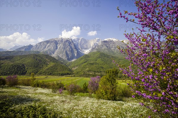 Valley of the Vjosa, the Vjosë is one of the few larger natural rivers in Europe, National Park