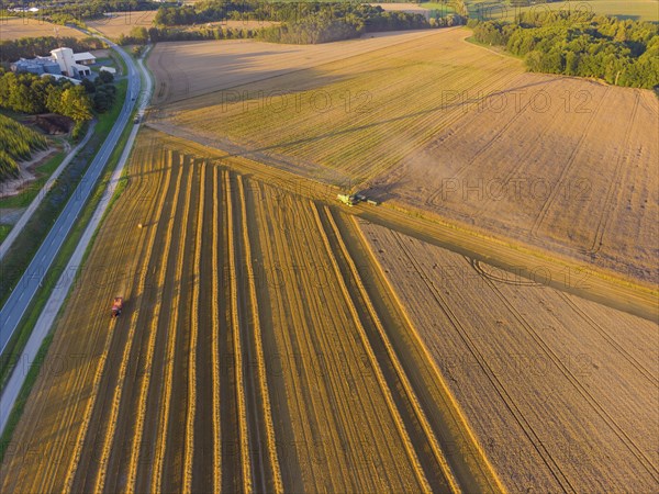 Fields of ABK Agrarbetriebsgesellschaft mbH Kriepitz