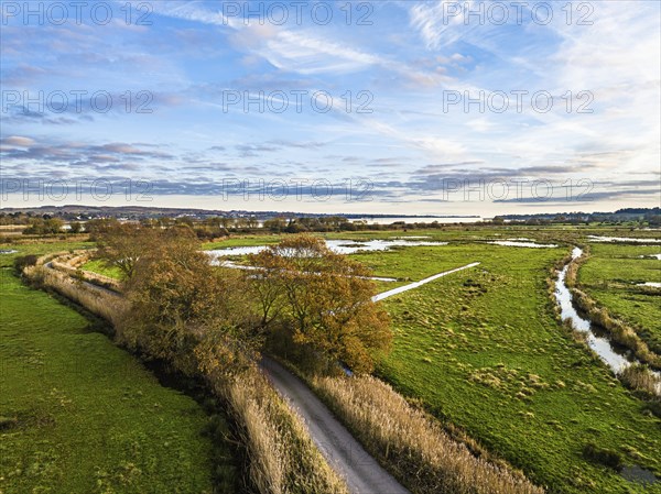 Wetlands and Marshes in RSPB Exminster and Powderham Marshe from a drone, Exeter, Devon, England,