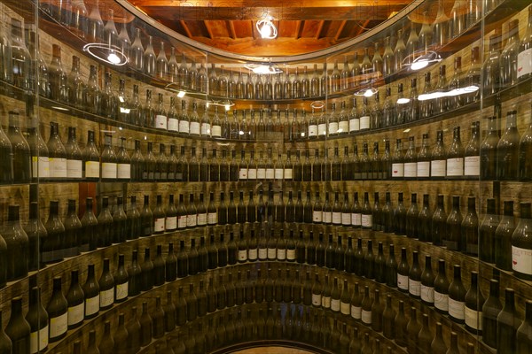 Exhibition rack with wines of Piemonte, Enoteca Regionale Piemontese Cavour, Grinzane Cavour,