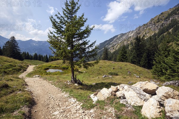 Jubilee trail in the mountain landscape of the AllgÃ¤u Alps, near Willersalpe, near Hinterstein,