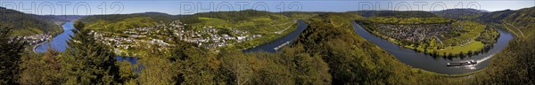 Panoramic view of the meandering Moselle from the Prinzenkopf Tower, Pünderich,