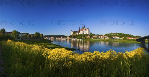 Meissen in the morning light