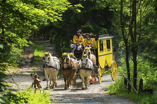 8th stagecoach meeting in Grillenburg