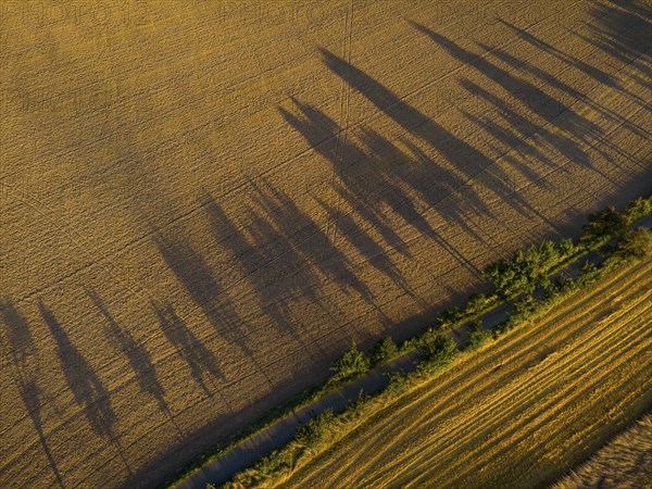 Long shadows of a row of poplars in the low sun on a summer evening near Hohnstein in Saxon