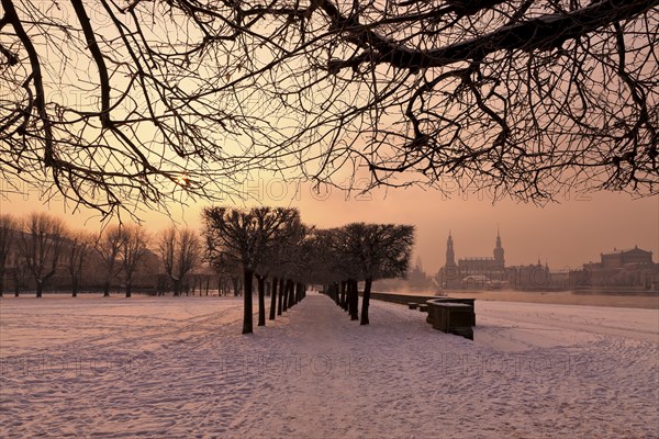 Dresden morning fog over the Elbe