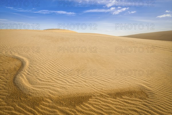 White sand dunes desert on sunrise, Mui Ne, Vietnam, Asia