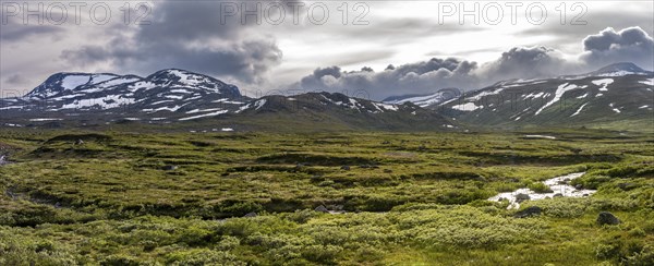 Barren mountain landscape, Fjell, Oystre Slidre, Jotunheimen National Park, Norway, Europe