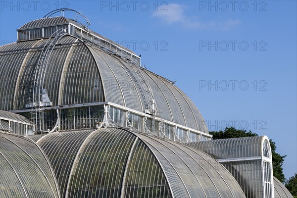 Roof construction, Palm House, oldest Victorian greenhouse in the world, Royal Botanic Gardens (Kew