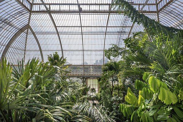 Palm House, the oldest Victorian greenhouse in the world, Royal Botanic Gardens, Kew, London,