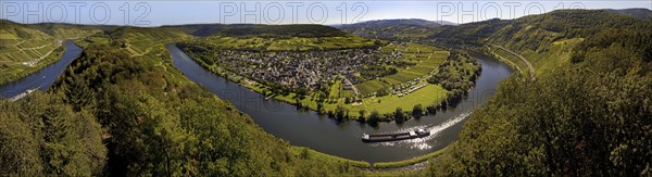 Panoramic view of the meandering Moselle from the Prinzenkopf Tower, Pünderich,