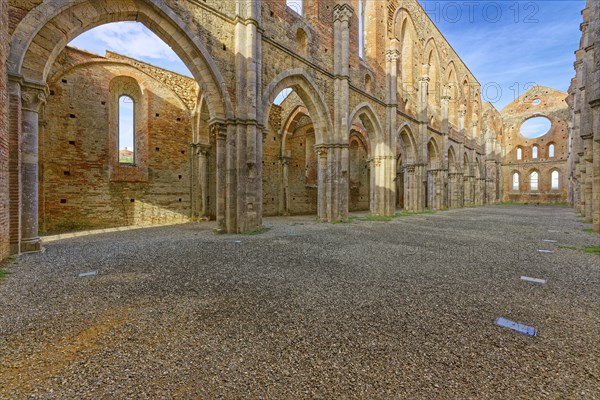 Nave, crossing and choir, church ruins of the Cistercian Abbey of San Galgano, Abbazia San Galgano,