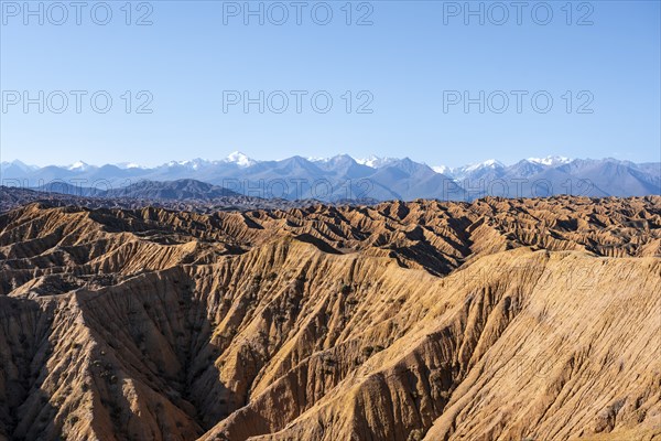 Landscape of eroded hills, white peaks of the Tien Shan Mountains in the background, Badlands,