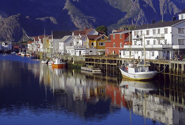Fishing boats and wooden houses reflected in the small harbour of Henningsvaer, fishing, evening