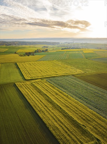 Aerial view of fields in autumn at sunrise, Herrenberg, Germany, Europe