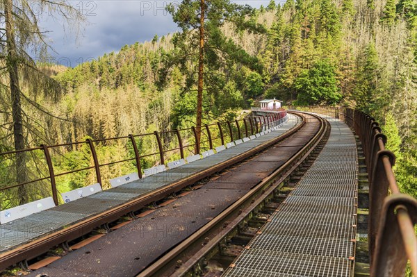 Railway bridge Ziemstal near Wysburg in the Thuringian Slate Mountains, Thuringia, Germany, Europe