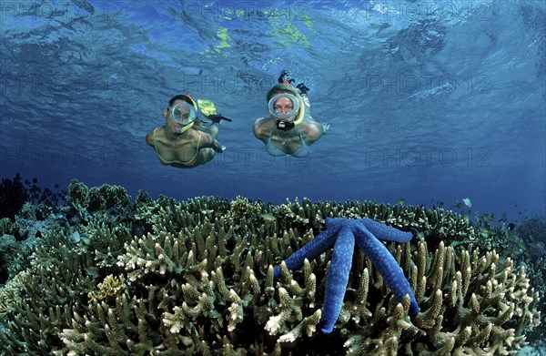 Two woman snorkelling, Bali, Indian Ocean, Indonesia, Asia