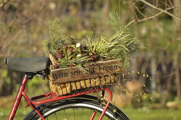 Wooden wine bottle crate filled with flowers stands on a bicycle carrier with the German