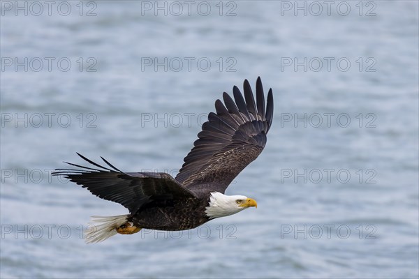 Natural scene from shore of lake Michigan
