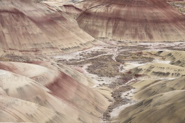 Volcanic ash colours the landscape of the Painted Hills in the John Day Fossil Beds National