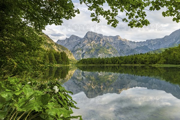 Almsee with reflection, Totes Gebirge, Grünau, Almtal, Salzkammergut, Upper Austria, Austria,